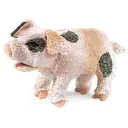 gpigside.webp