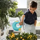 172895-Cana-S-BananaBlue3.webp
