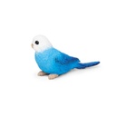 blue-budgie-150629-2.jpeg