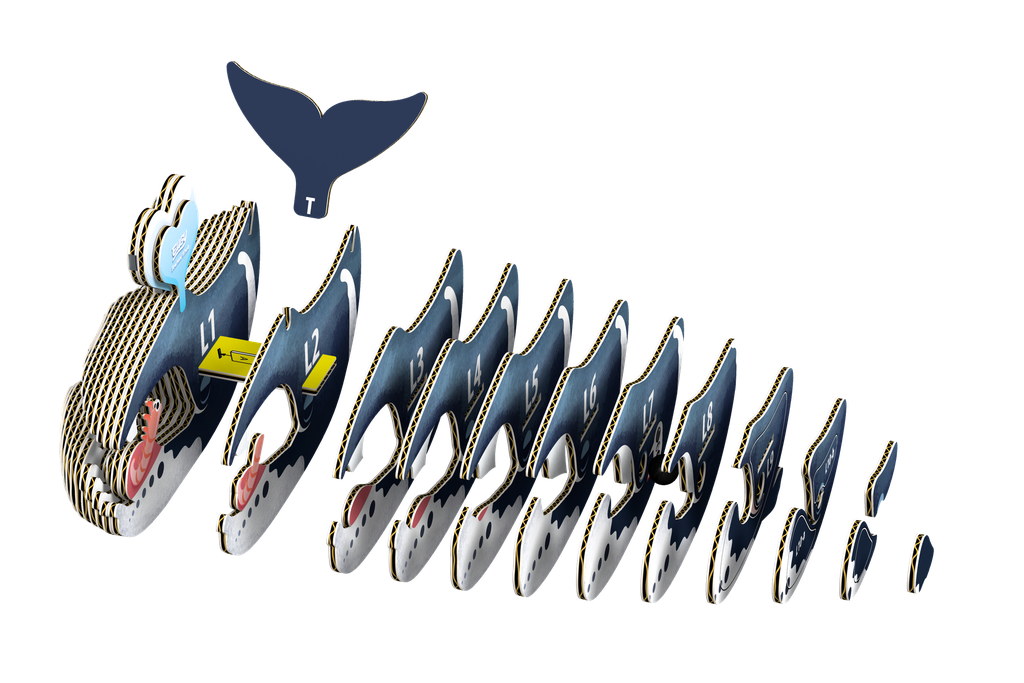 eugy-bowhead-whale-3d-puzzle-1.png
