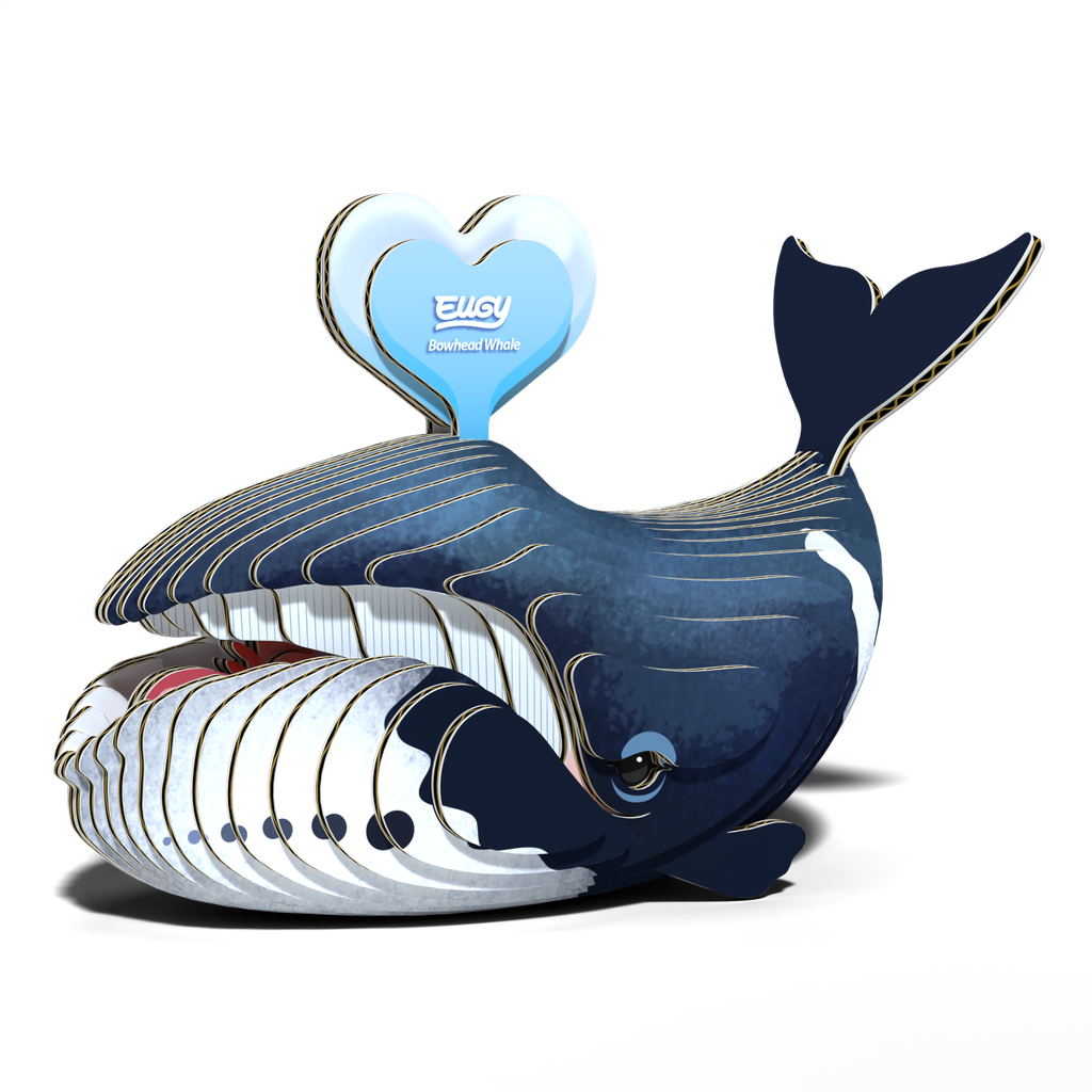 eugy-bowhead-whale-3d-puzzle-2.png