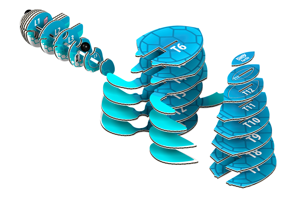 eugy-turtle-3d-puzzle-2.png
