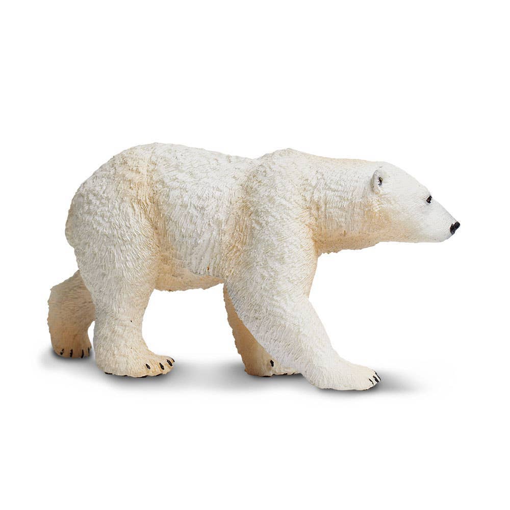 polar-bear-273329-1.jpeg