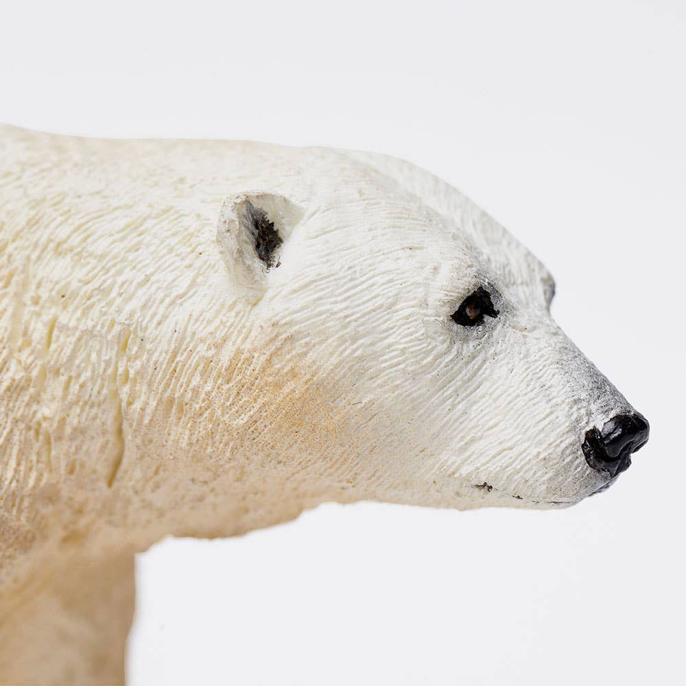 polar-bear-273329-3.jpeg