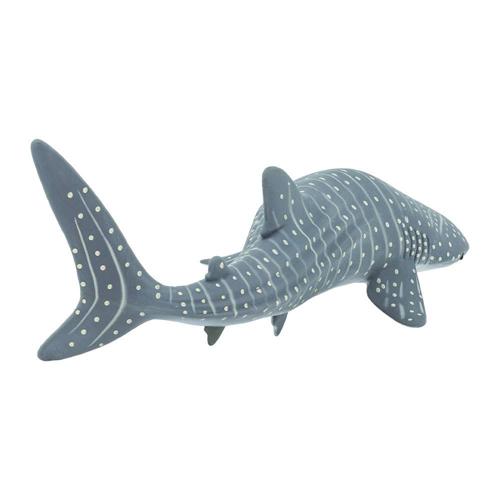 whale-shark-422129-2.jpeg