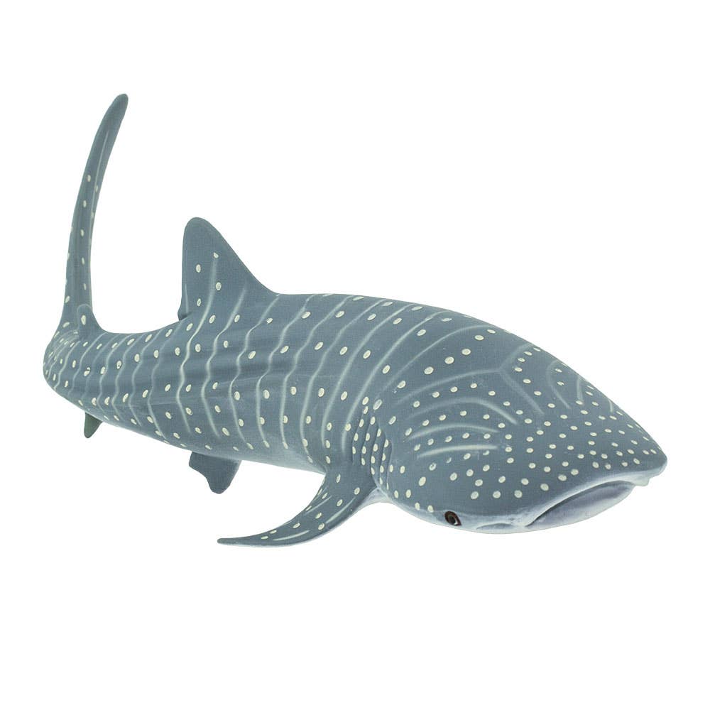 whale-shark-422129-3.jpeg