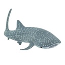 whale-shark-422129-3.jpeg