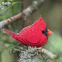 068Cardinal_Live1_2025.03.webp