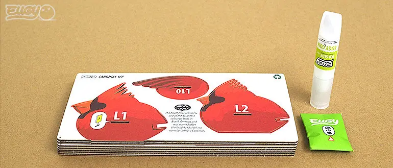 068_cardinal_2_JPG_jfif.webp