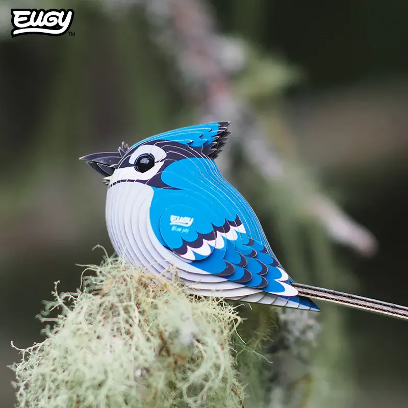 067BlueJay_live2_2025.03.webp