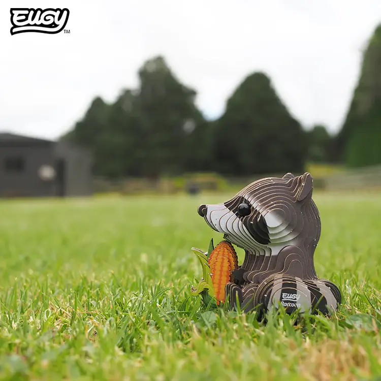 103_Raccoon_Live1_2025.03.webp