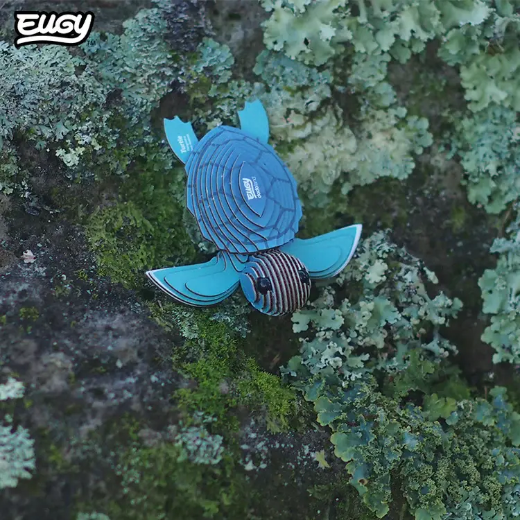 038Turtle_Live1_2025.03.webp