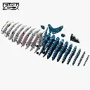 049_Whale-Shark-Exploded_2025.08.webp