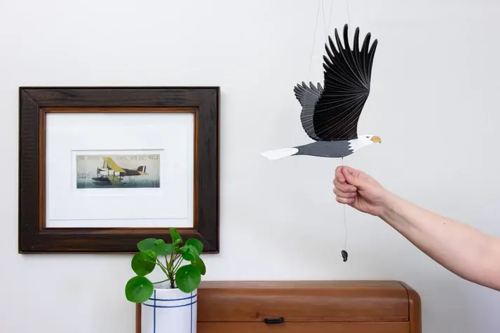 DentalCabinet34-Eagle.webp