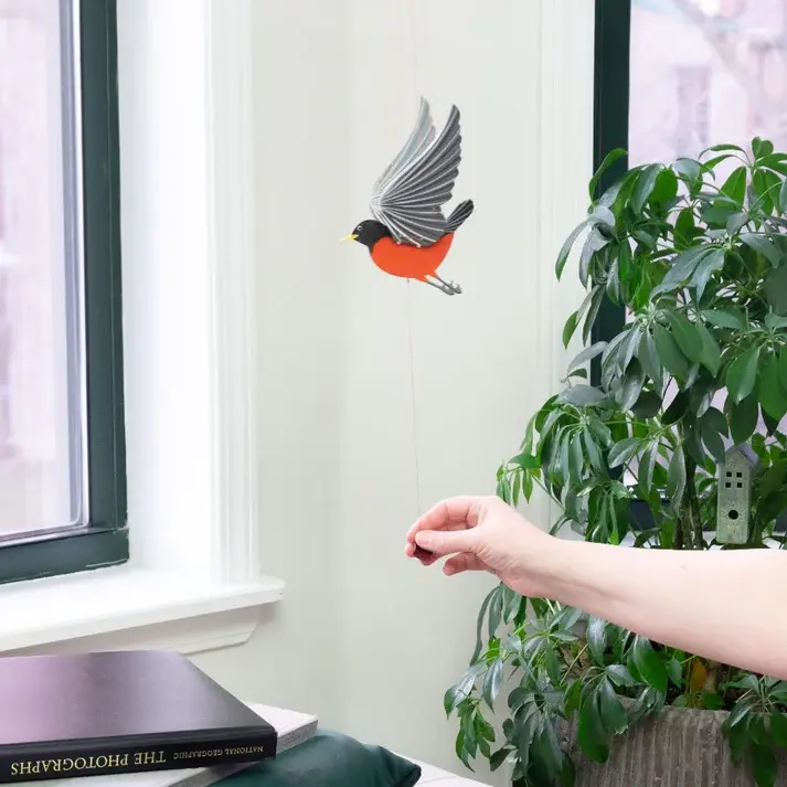 M090_Robin_RedBlue21.webp