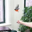 M090_Robin_RedBlue21.webp