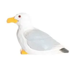 seagull.webp