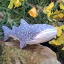 whale shark wudimals 2.webp