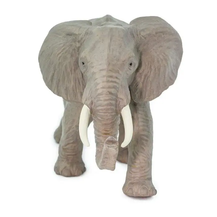 african elephant front view.webp