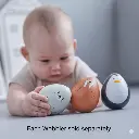 sold separately.webp