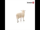Schleich Sheep 360 Video