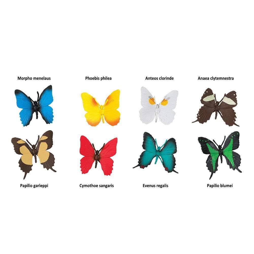 butterflies-toob-961413_1000x1000_crop_center.jpg