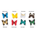 butterflies-toob-961413_1000x1000_crop_center.jpg