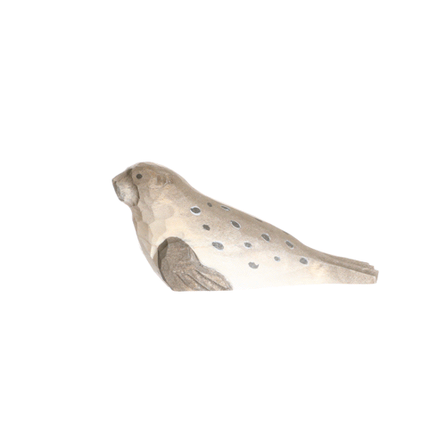 harbour seal.gif