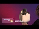 Folkmanis® Dinosaur Egg Puppet Demo