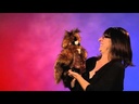 Folkmanis® Great Horned Owl Puppet Demo