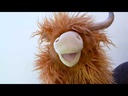 Folkmanis® Highland Cow Puppet Demo