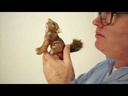 Folkmanis® Mini Coyote Finger Puppet Demo
