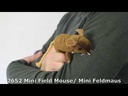 Folkmanis Field Mouse Finger Puppet Demo