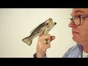 Mini Largemouth Bass Finger Puppet Demo