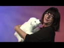 Folkmanis® Polar Bear Cub Puppet Demo