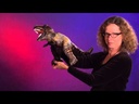 Folkmanis® Tyrannosaurus Rex Puppet Demo