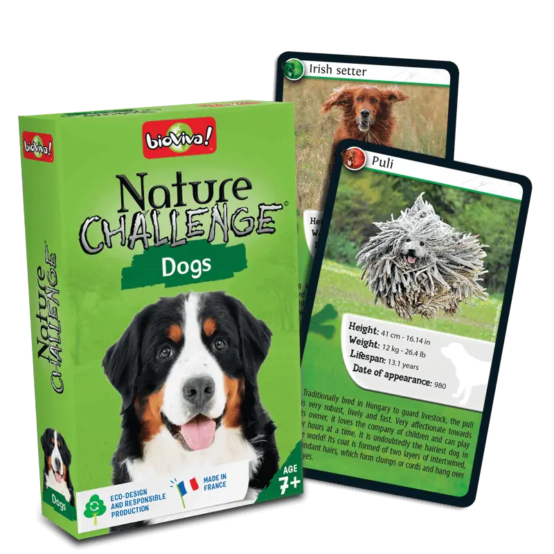 nature-challenge-dogs.webp