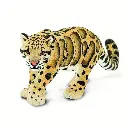 clouded leopard.webp