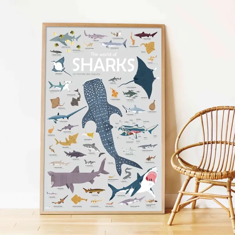 poppik-poster-stickers-requins-sharks-pedagogique-educatif-autocollants-0-copie.webp
