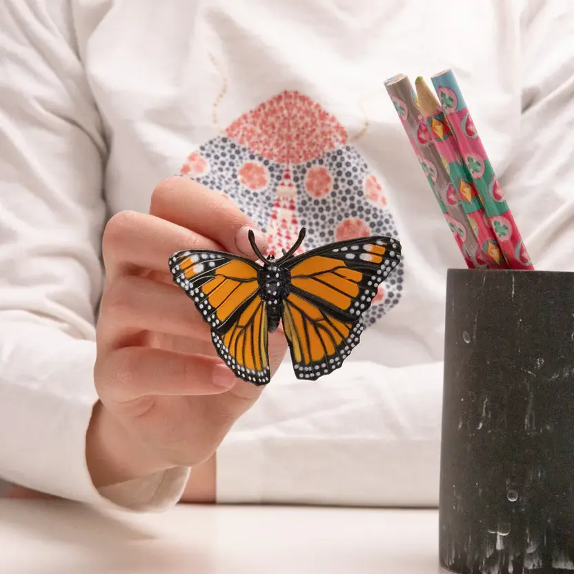 butterfly lifestyle.webp