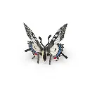 swallowtail buttefly back.webp