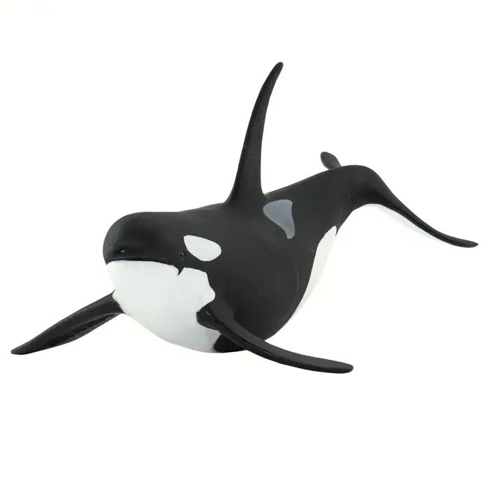 orca.webp