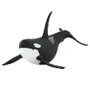 orca.webp