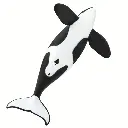 orca2.webp