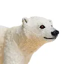 polar bear cub1.webp
