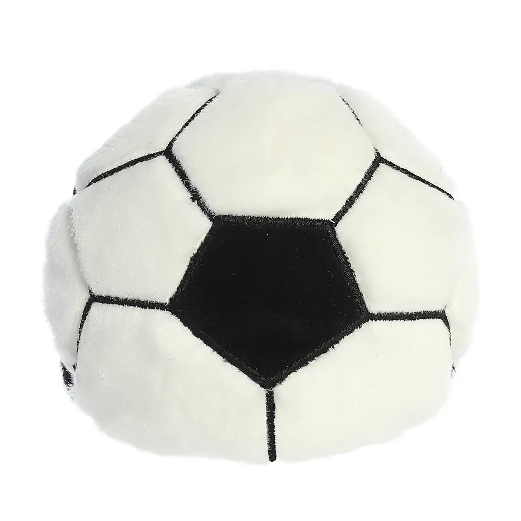 sockballback.webp