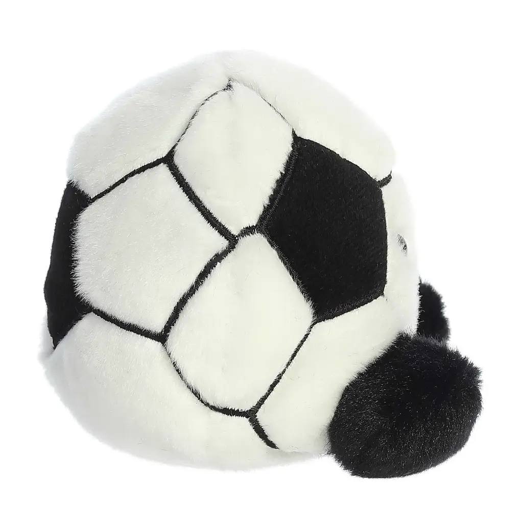 socballside.webp