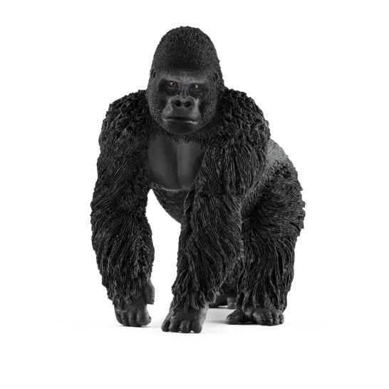 Gorilla - Male