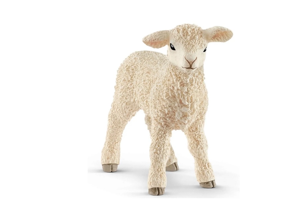 Lamb 13883