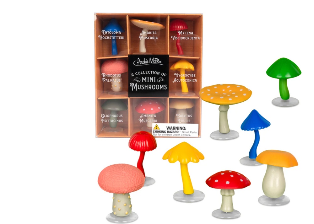 A Collection of Mini Mushrooms